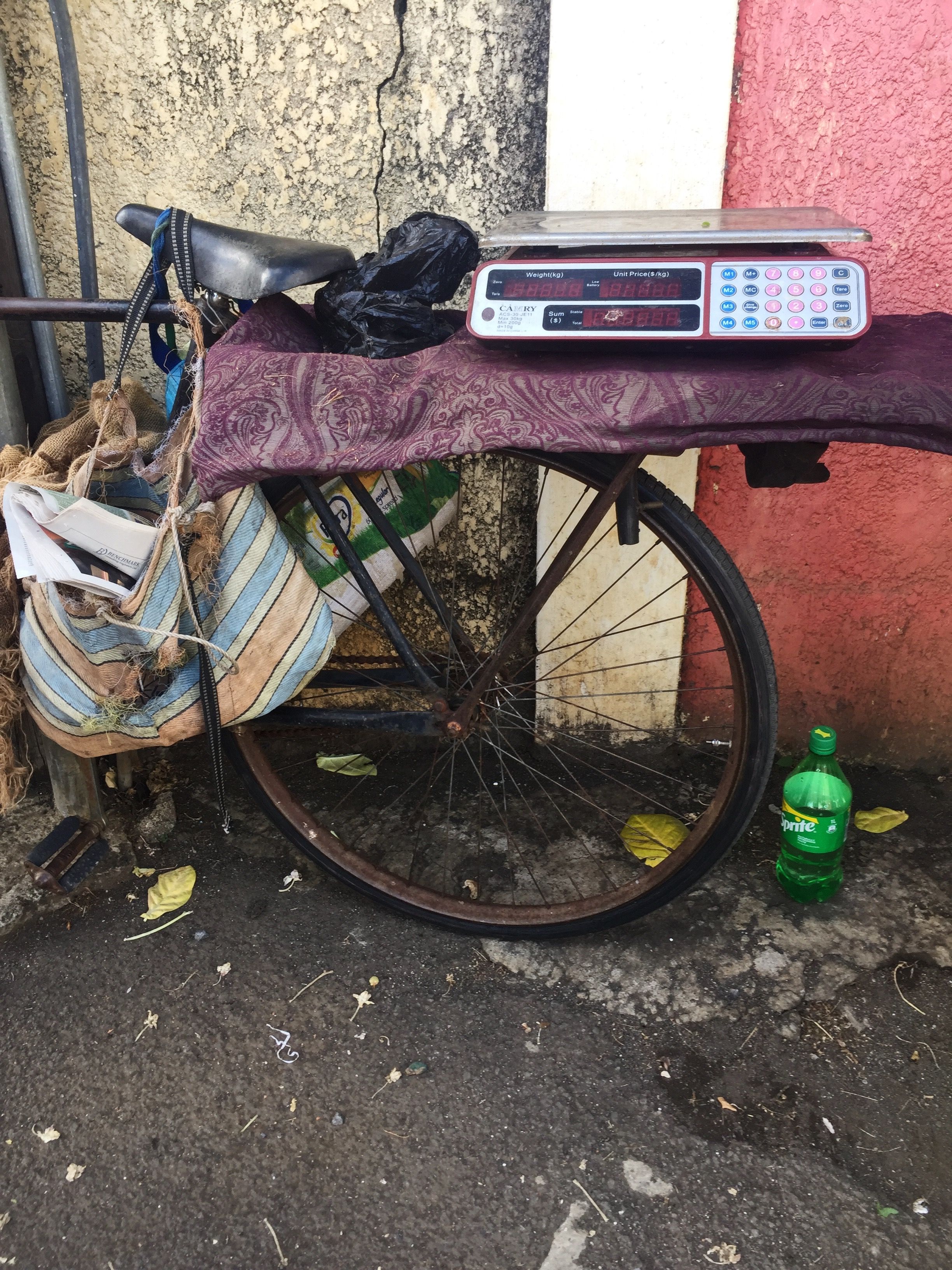 Bus trip, village, Bambous